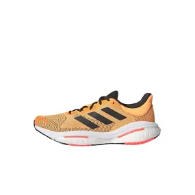 Solar Glide 5